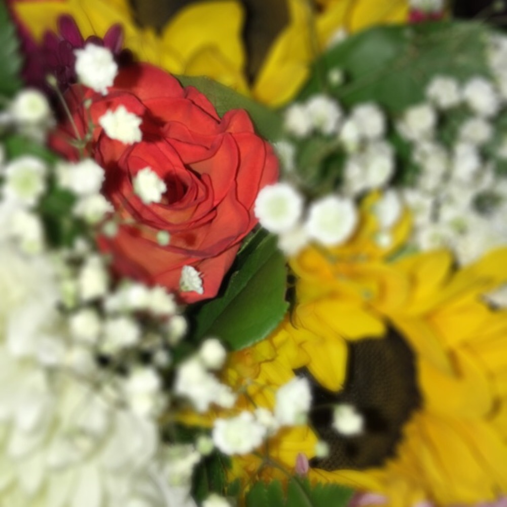 Meet your Posher, Daniella